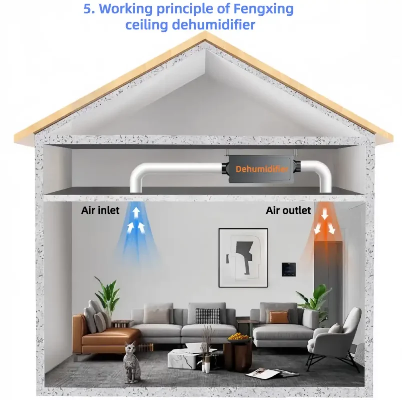 3D cross-section diagram showing the working principle of Fengxing FXR-58 ceiling hidden dehumidifier installed inside ceiling, displays indoor air inlet and supply air circulation effect for medium commercial space
