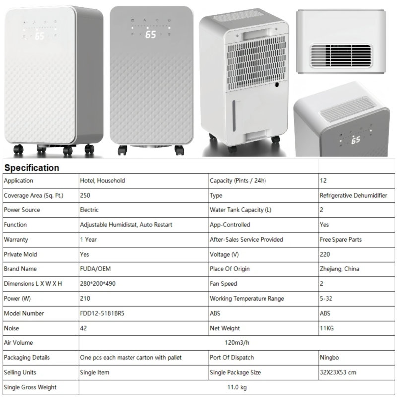 FXRH series 10-12L home dehumidifier model11 diamond texture touch panel air outlet detail, 12L daily capacity, washable air filter, App control private mold OEM custom brand